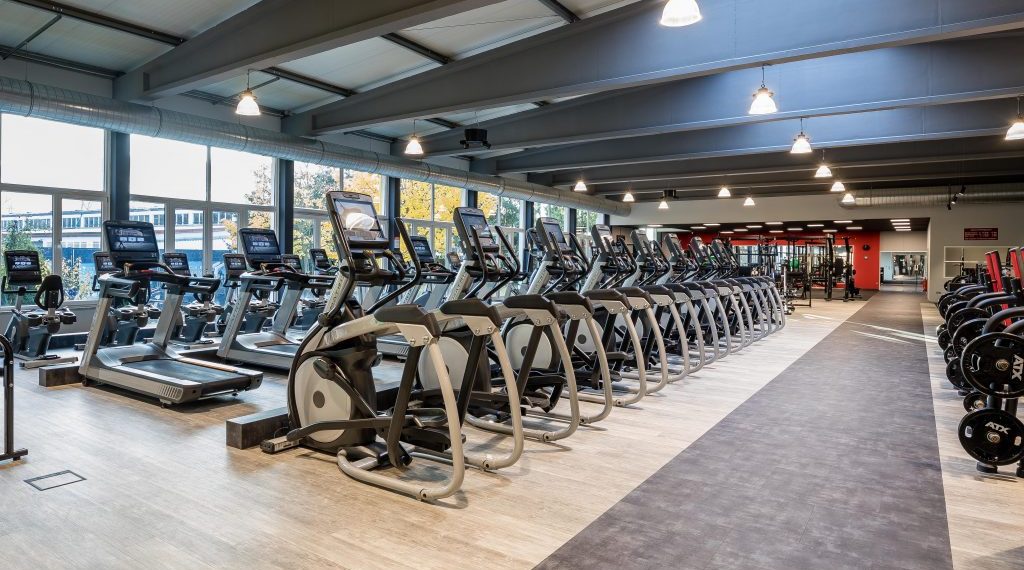 Lifestyle Würzburg: Eine Synthese aus Tradition und Moderne