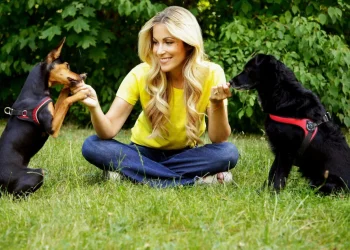 Hundetrainer Ausbildung: Der Weg zur Verbindung zwischen Mensch und Hund