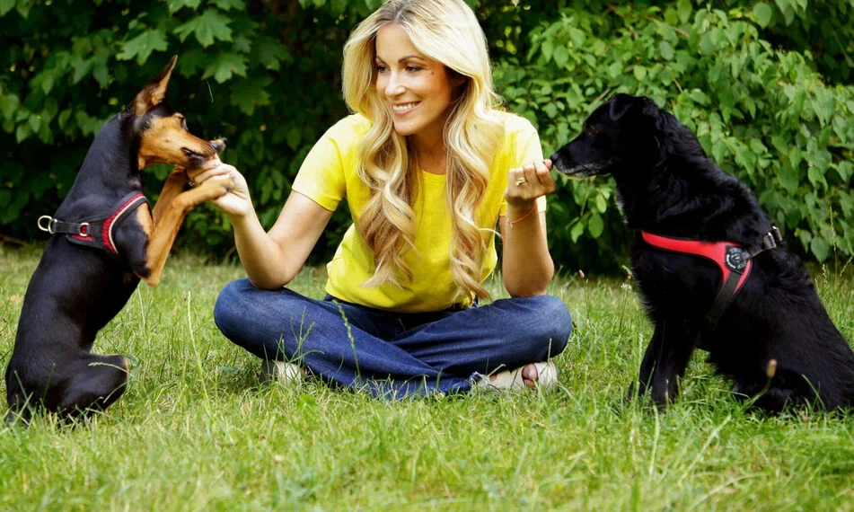 Hundetrainer Ausbildung: Der Weg zur Verbindung zwischen Mensch und Hund