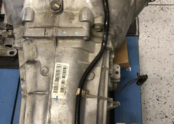 So wählen Sie die richtige Tranny Tube für Ihre Bedürfnisse aus