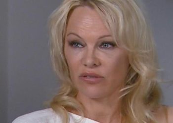 Dan Hayhurst: Ein Klangkünstler, der die Grenzen der Musik neu definiert