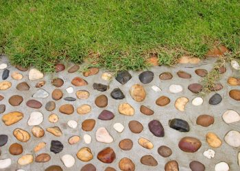 Gartenweg Pflegeleicht: Gestaltung und Pflege