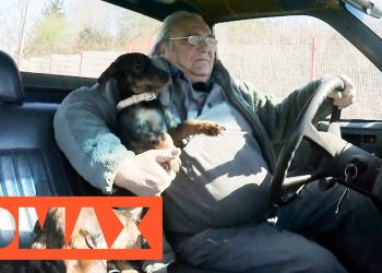 Morlock Motors Günther Gestorben: Ein Blick Auf Günther, Den Verstorbenen