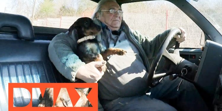 Morlock Motors Günther Gestorben: Ein Blick Auf Günther, Den Verstorbenen