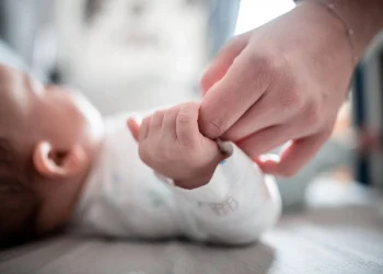 Leihmutterschaft Niederlande: Rechtmäßigkeit, Kosten Und Nutzen