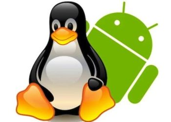 Die Kunst der Linux-Netzwerkerkundung meistern: Eine ausführliche Erkundung