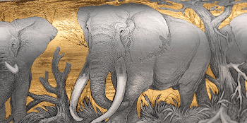 Der Elefantenbulle Ahmed