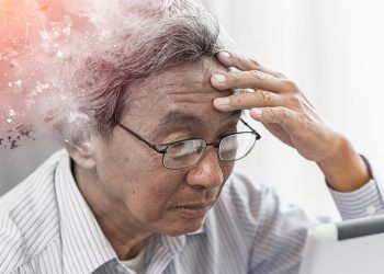 Das Gedächtnisspiel von Google: Spaß und Lernen in einem interaktiven Format