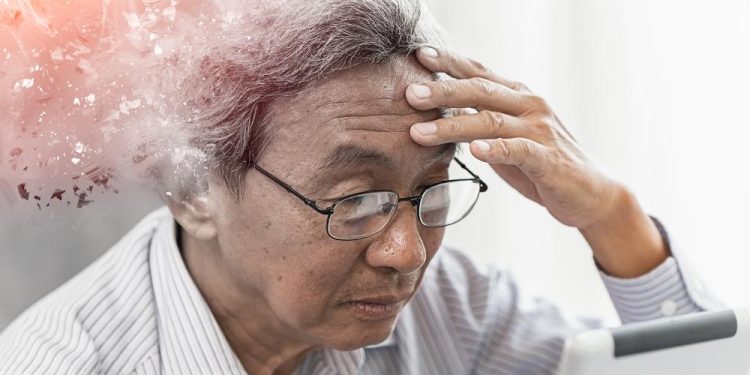 Das Gedächtnisspiel von Google: Spaß und Lernen in einem interaktiven Format