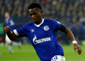 Aktuelle News und Entwicklungen rund um Schalke News 04