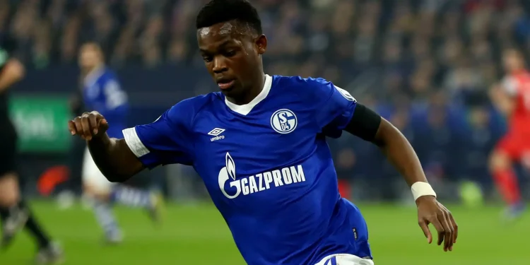 Aktuelle News und Entwicklungen rund um Schalke News 04