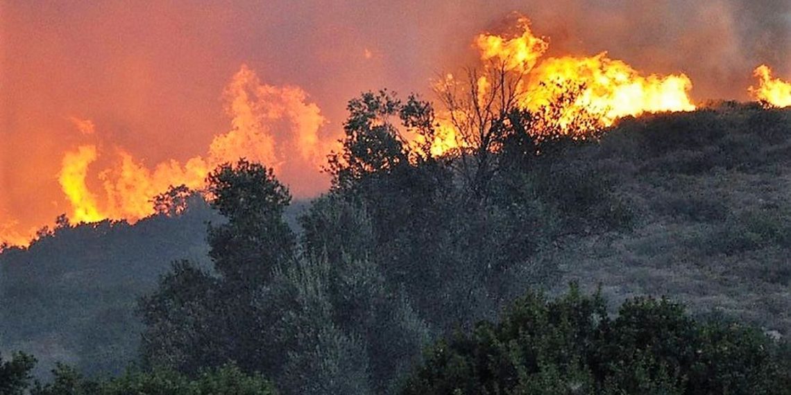 Kreta Waldbränd und ihre Auswirkungen – Eine tiefgehende Analyse