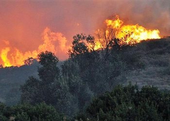 Kreta Waldbränd und ihre Auswirkungen – Eine tiefgehende Analyse
