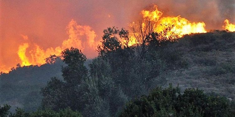 Kreta Waldbränd und ihre Auswirkungen – Eine tiefgehende Analyse