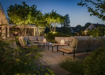 Die Wahrheit hinter „Werkelijkheid Steef“ – Ein tiefgehender Einblick