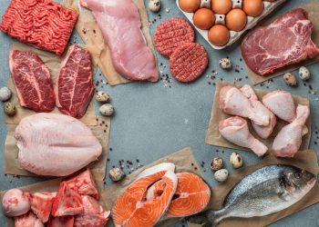 Die Carnivore Diet: Eine Umfassende Einführung in die Fleischbasierte Ernährung