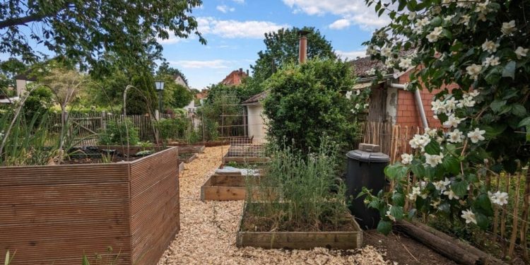 Hackschnitzel Garten Nachteile und Herausforderungen