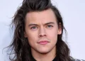 harry styles